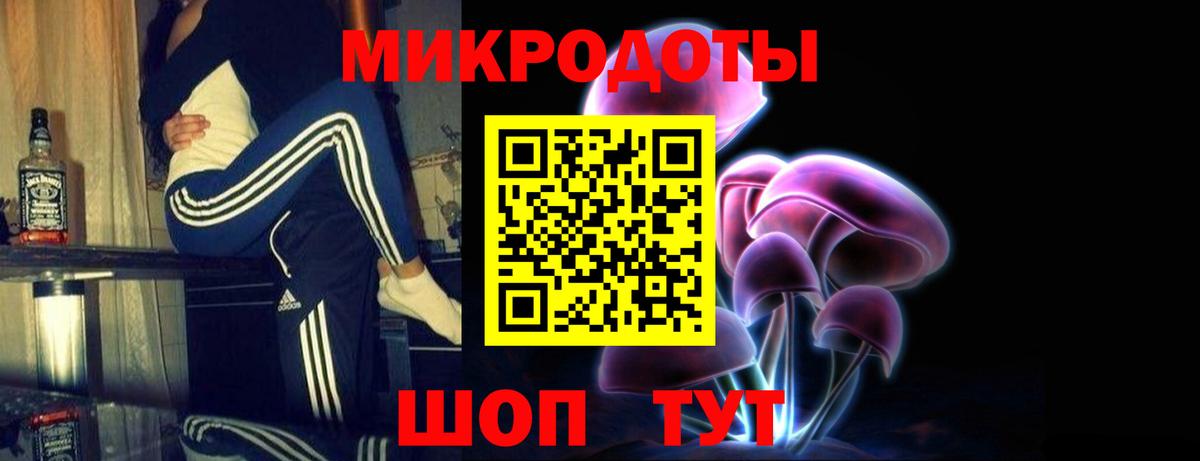 Дедовск  Галлюциногенные грибы Psilocybine cubensis  Галлюциногенные грибы прущие грибы  Вход с VPN 